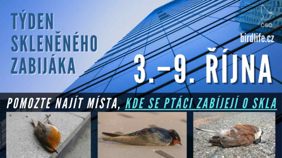 Týždeň skleněného zabijáka