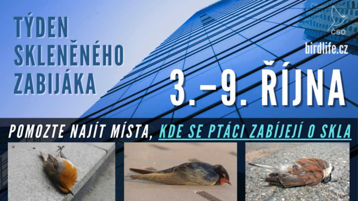 Týždeň skleněného zabijáka