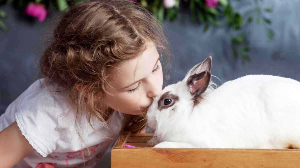 Medzinárodný deň králikov