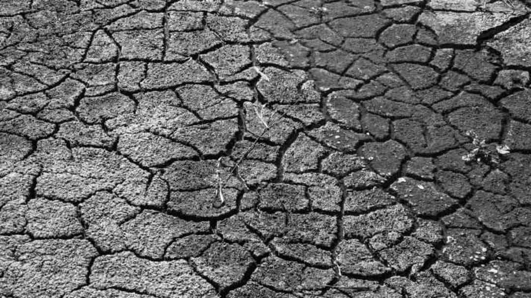 Medzinárodný deň proti rozširovaniu púští a sucha