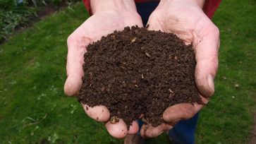 International Composting Week