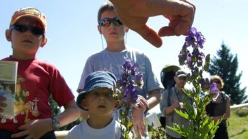 Fascination Day with Plants